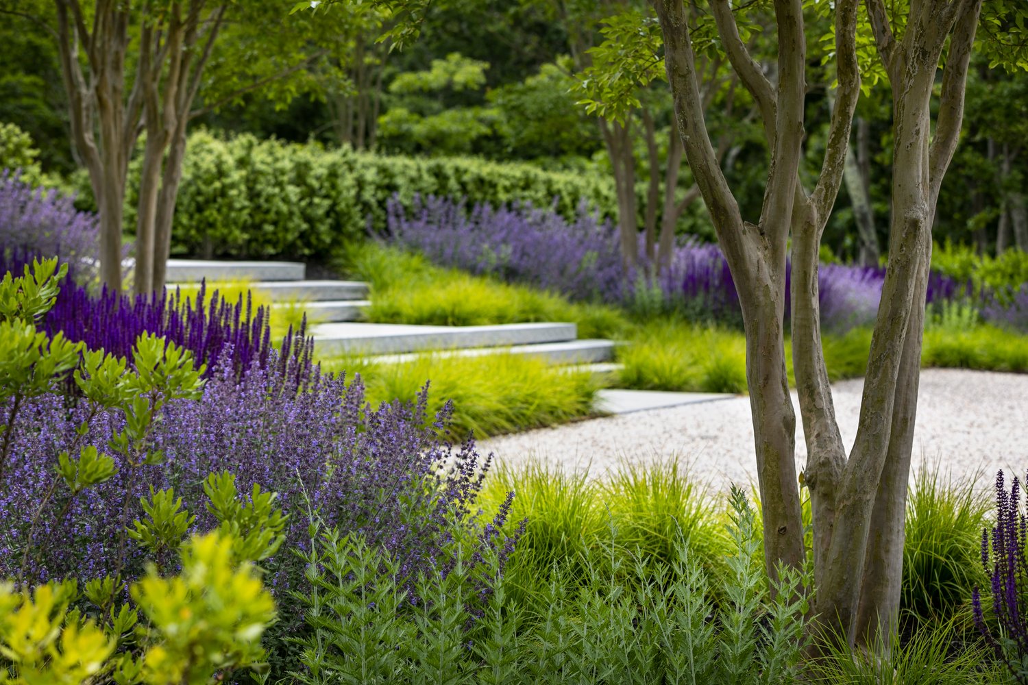 Lush, Landscaped Gardens