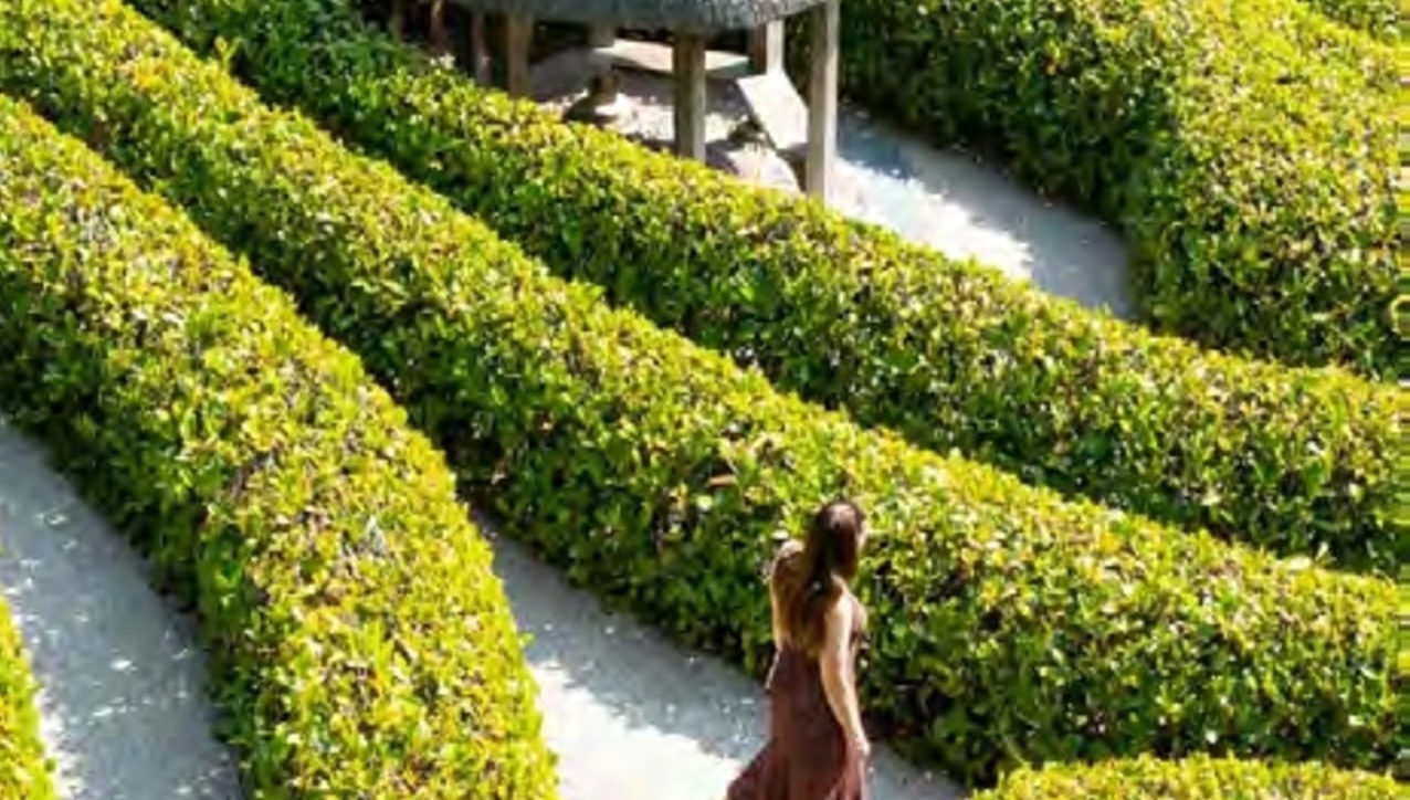 Green Maze