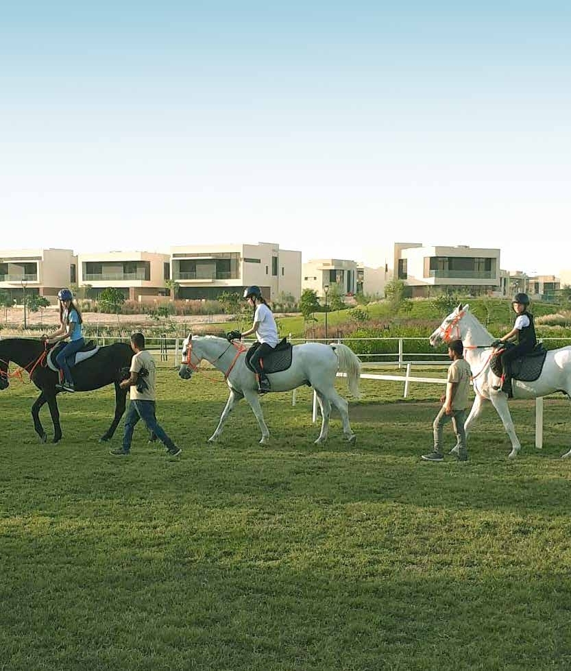 Stables with horse-riding lessons